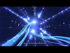 Endoskopische lineare Schnittheftereinleitung von Miconvey