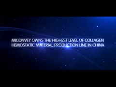 Einleitung MICONVEY Company